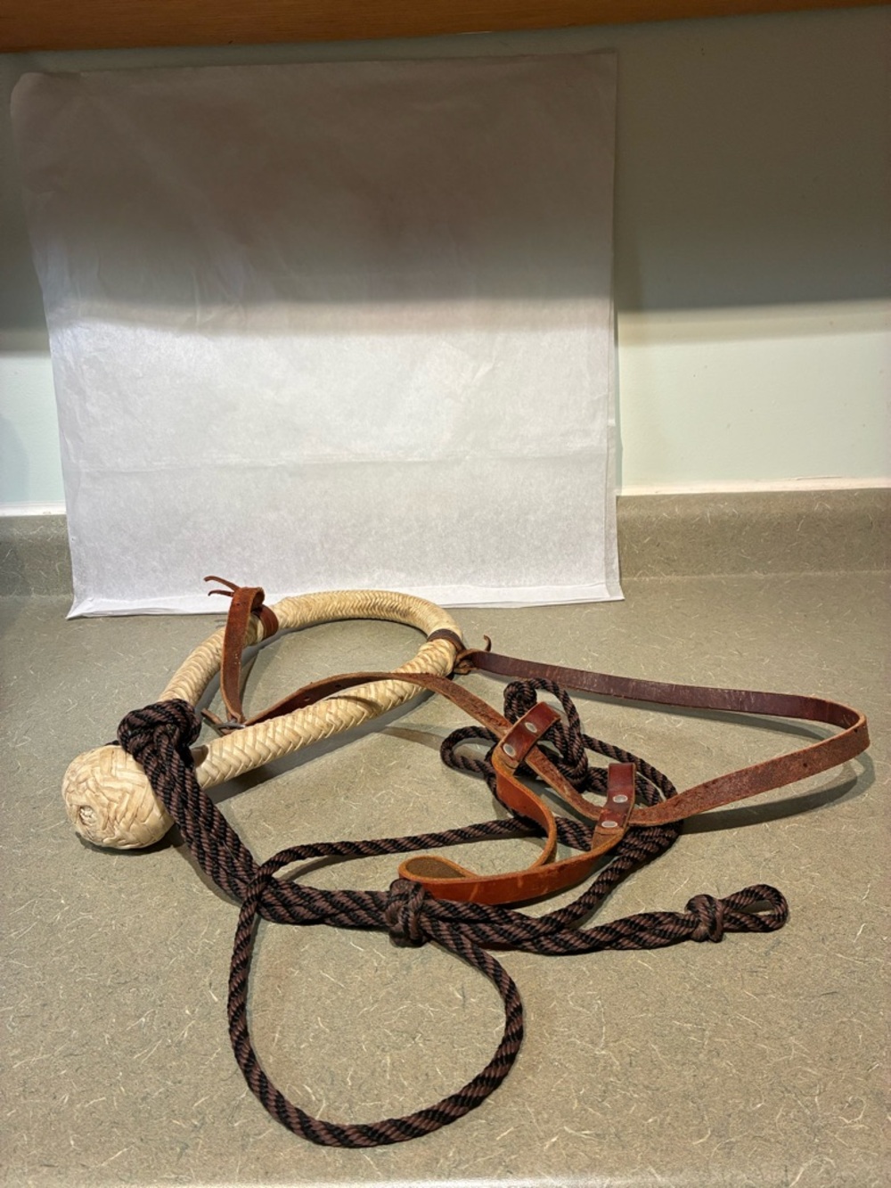 Bosal With Headstall